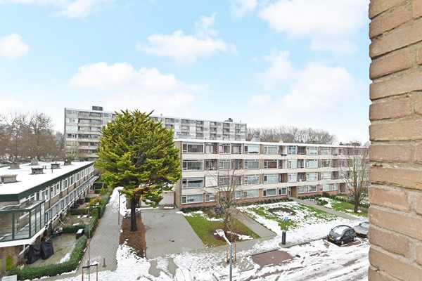 Medium property photo - Ahornlaan 46, 3053 WR Rotterdam